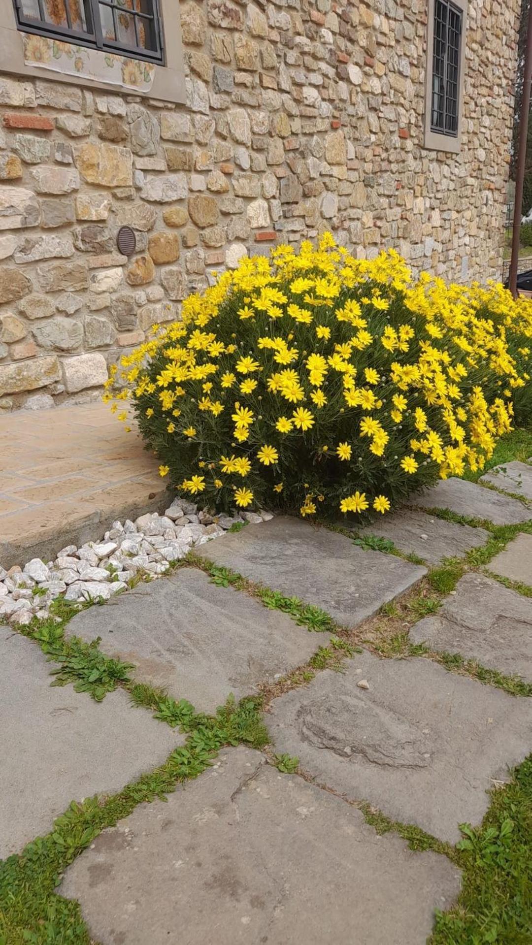 Agriturismo Circugnano Grassina Bagian luar foto