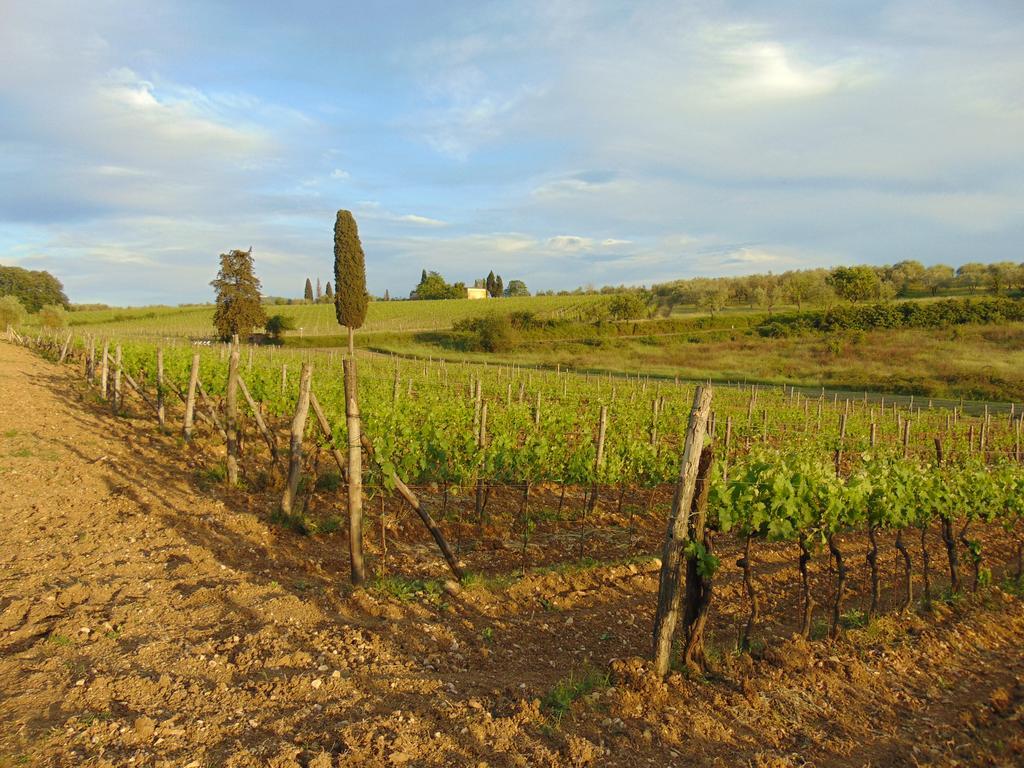 Agriturismo Circugnano Grassina Bagian luar foto